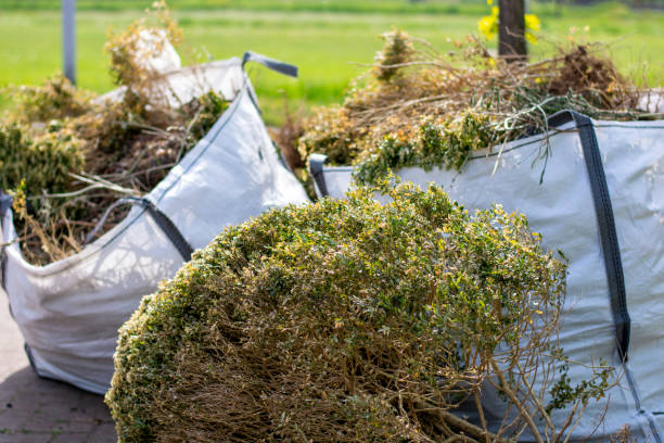 Best Hoarding Cleanup  in Germantown Hls, IL